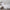 Percale Pillow Case 2 Pack in White
