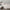 Percale Pillow Case 2 Pack Ivory
