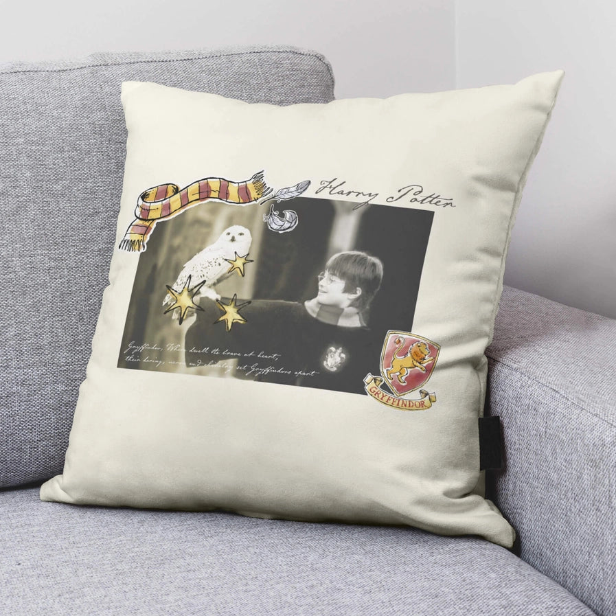 Harry Potter Little Memories 100% Cotton Cushion 50 X 50cm