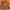 Looney Tunes logo