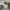 Canberra Check Printed Duvet Cover Set Grey/Neutral