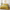 Mazari Exotic Jungle Duvet Cover Set Mustard