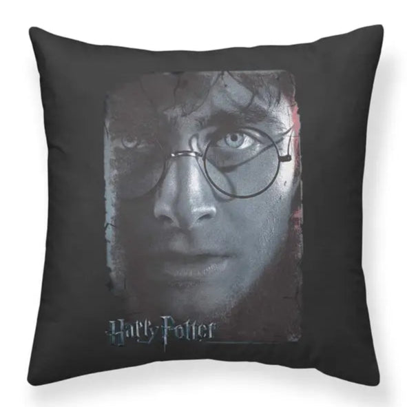 Harry Potter Face Cushion